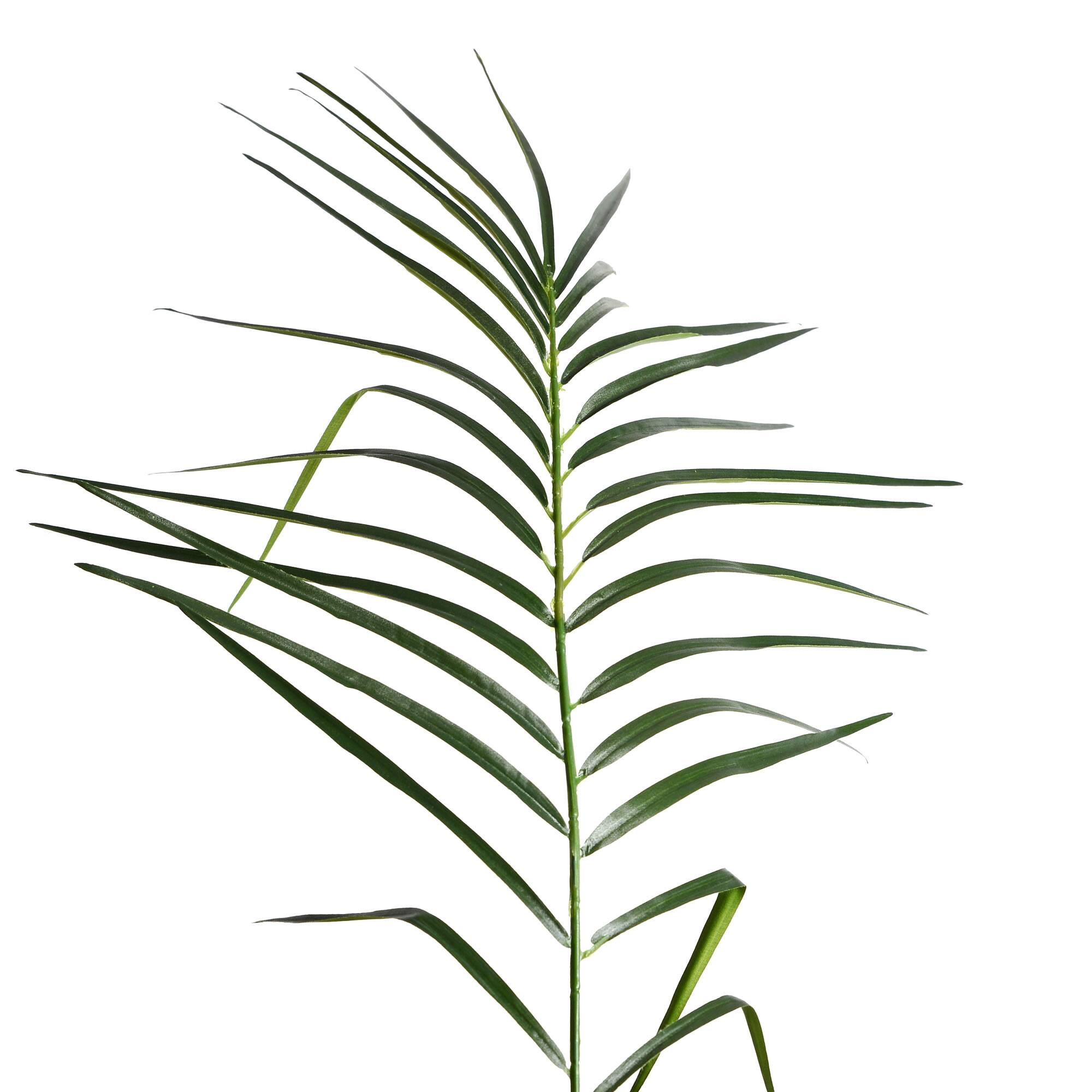 6ft. Potted Pheonix Palm Tree
